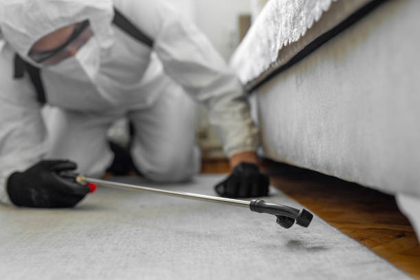 Professional Termite Control technician working in Avenal, CA