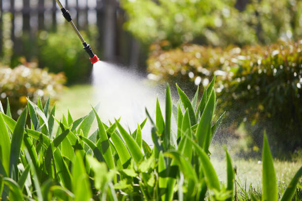 24/7 Emergency Termite Control experts in Avenal, CA